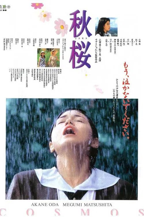 Remembering the Cosmos Flower movie poster