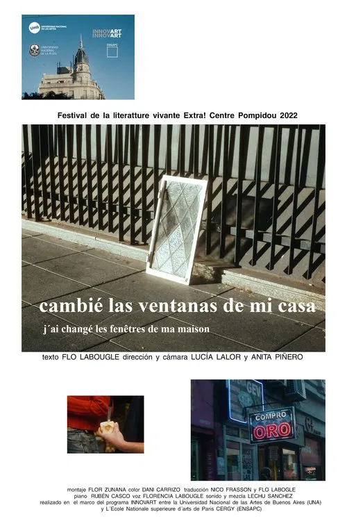 I changed the windows of my house movie poster