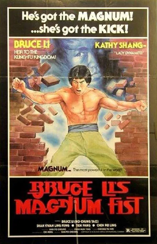 Bruce Li's Magnum Fist movie poster
