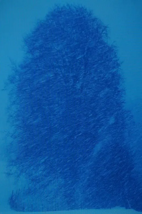 Beech Tree-Appearance movie poster