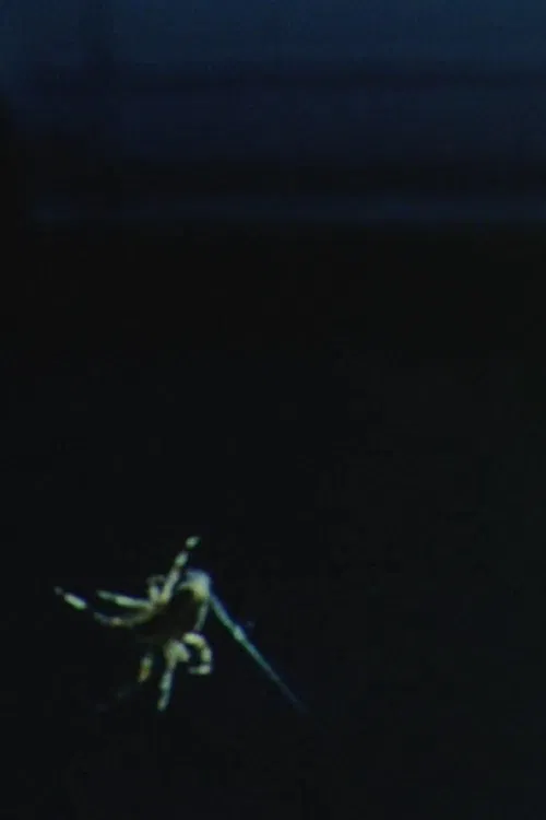 Poster do filme Arachnophilia