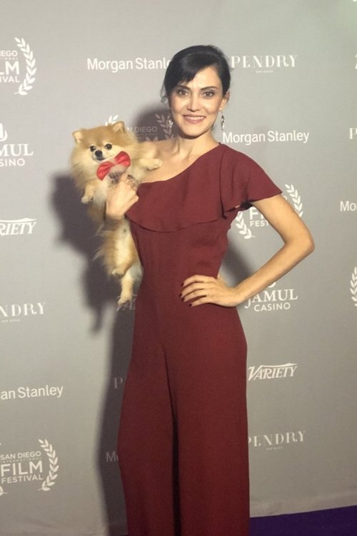 Stare Yildirim profile picture