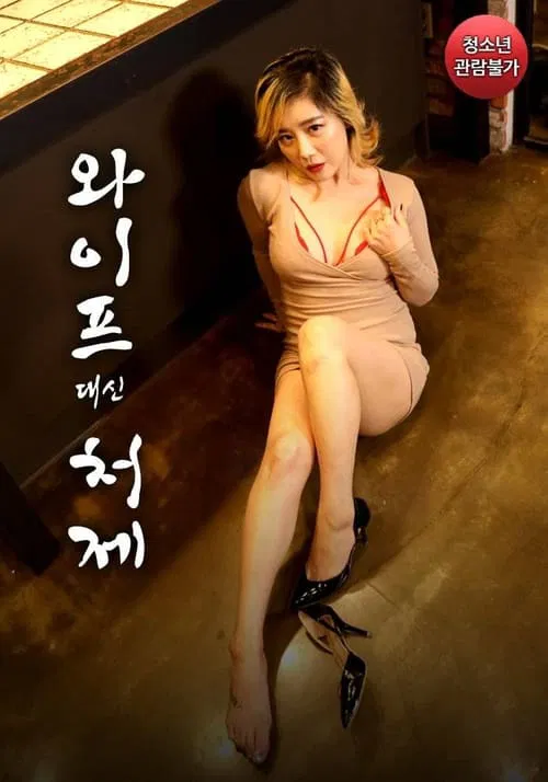 Sister-in-law Instead of Wife movie poster