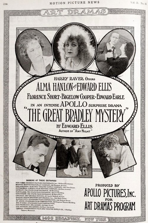 The Great Bradley Mystery movie poster
