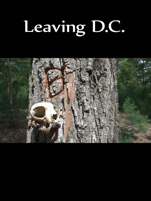 Leaving D.C. movie poster