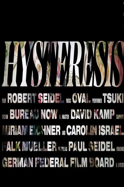 Hysteresis movie poster