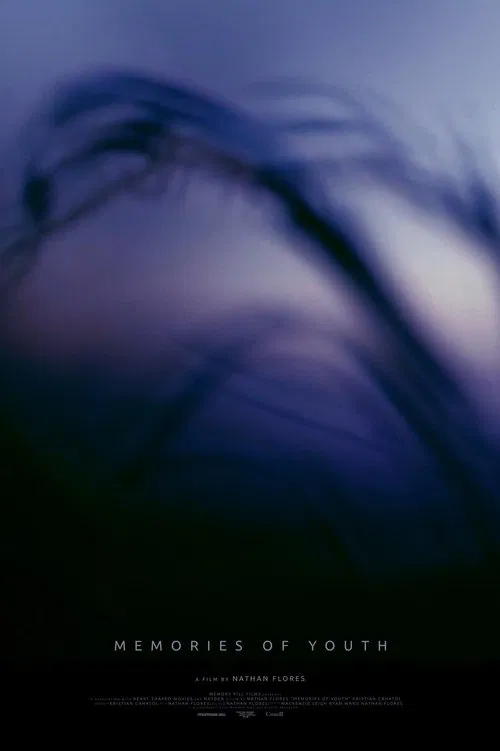 Memories of Youth movie poster