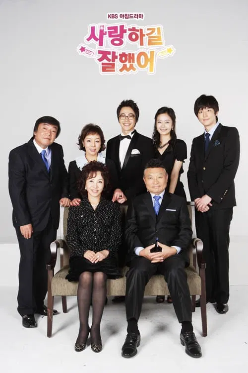 I’m Glad I Loved You tv show poster