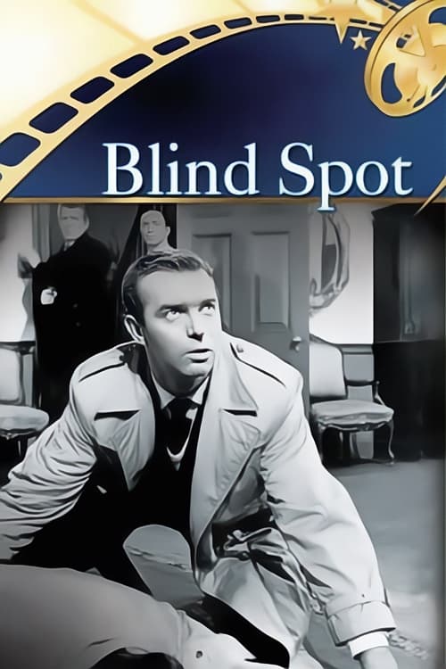 Blind Spot movie poster