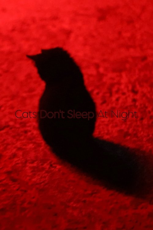 Cats Don't Sleep At Night movie poster