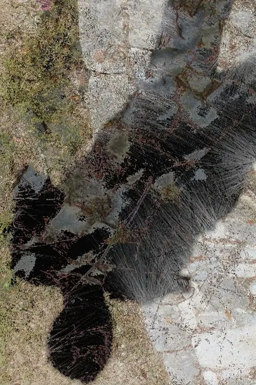 Presence movie poster