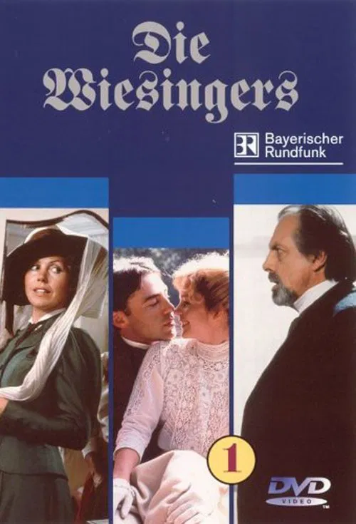 Die Wiesingers tv show poster