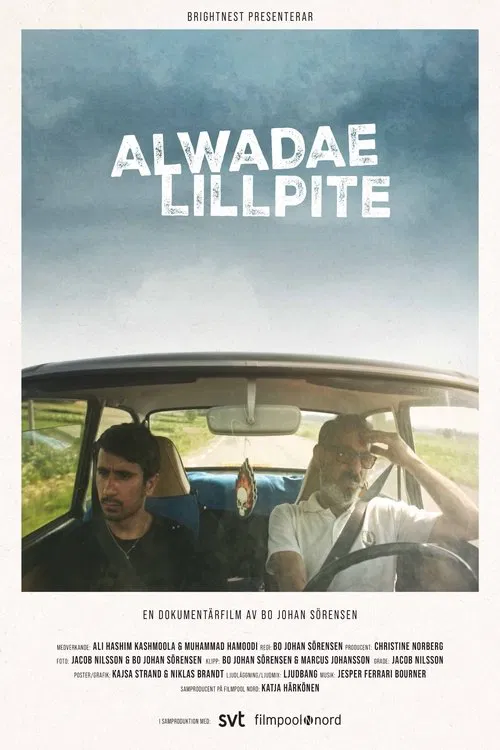 Poster do filme Alwadae Lillpite