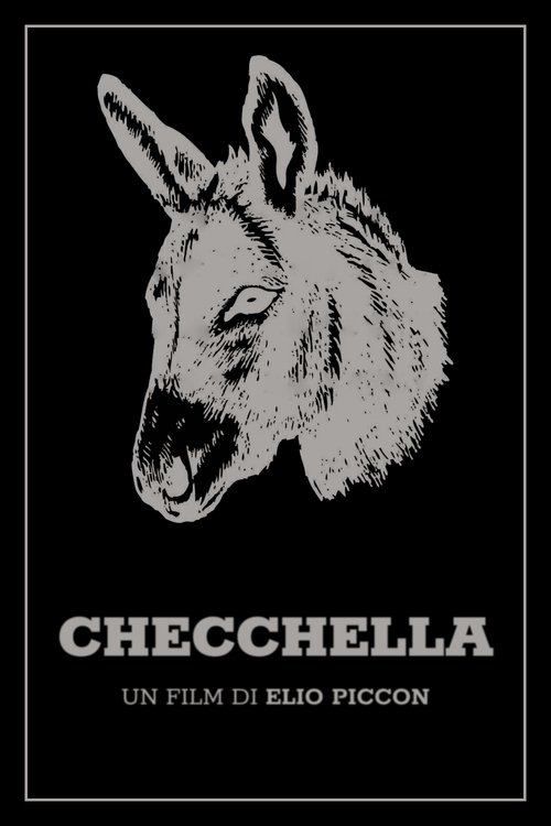 Checchella movie poster