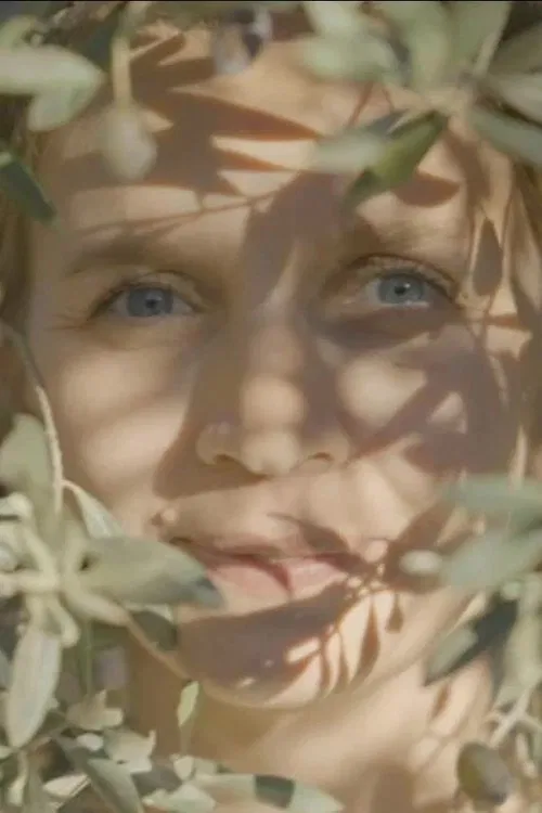 Poster do filme Zeytin