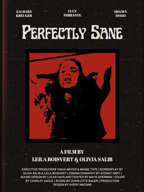Perfectly Sane movie poster