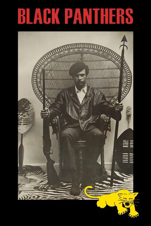 Black Panthers movie poster