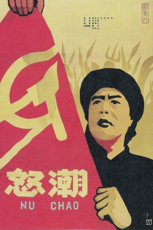 Nu chao movie poster
