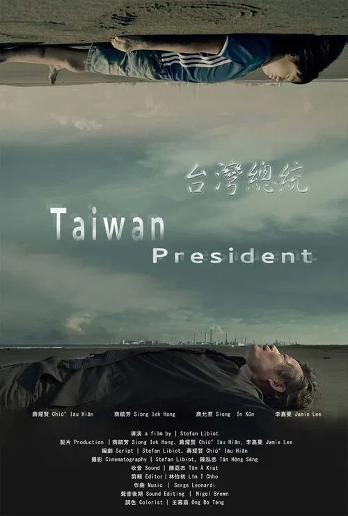 Taiwan President movie poster