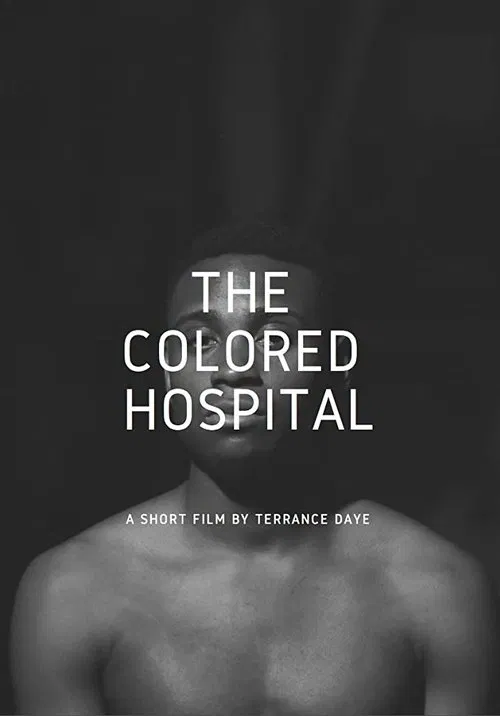The Colored Hospital: A Visual Poem movie poster