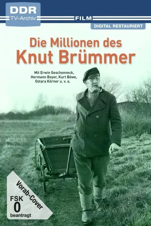 Poster do filme Die Millionen des Knut Brümmer