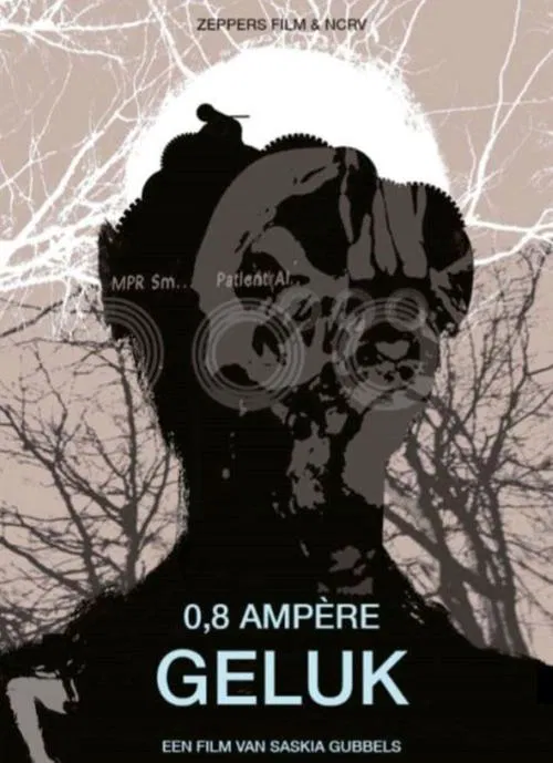 0.8 Amps of Happiness movie poster