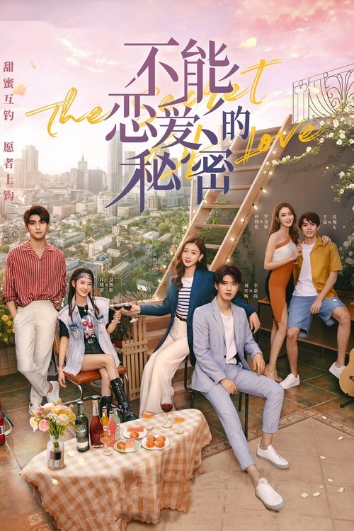 The Secret of Love tv show poster