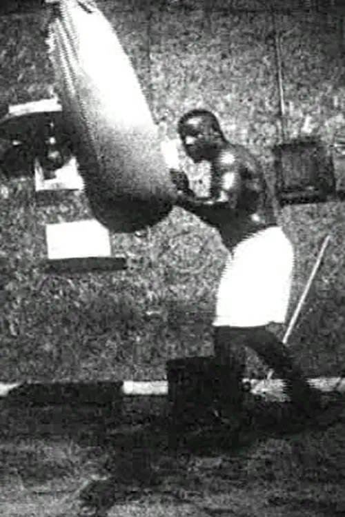 Poster do filme Meditations on Revolution Part IV: Greenville, MS