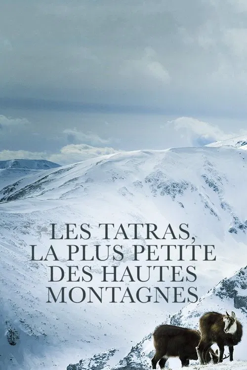 Die Hohe Tatra - Leben am Abgrund movie poster