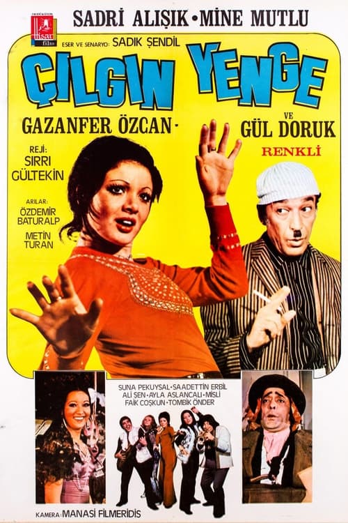 Çılgın Yenge movie poster