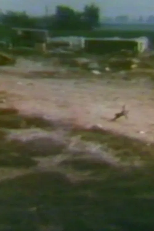 Audio and Visual Experiment 6 movie poster