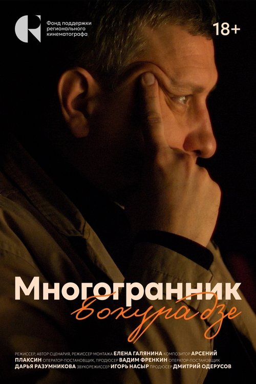 Poster do filme Многогранник Бокурадзе