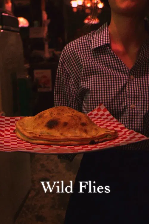 Wild Flies movie poster