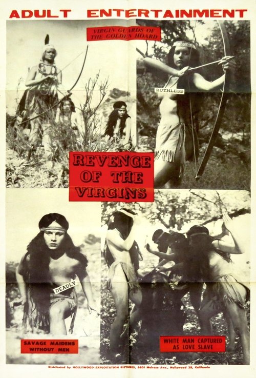 Revenge of the Virgins movie poster