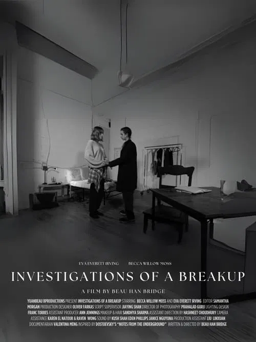 Investigations of a Breakup movie poster