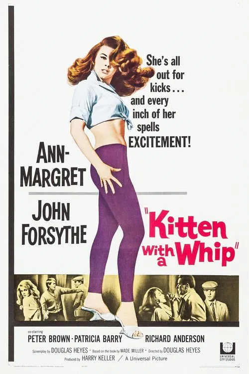Kitten with a Whip movie poster