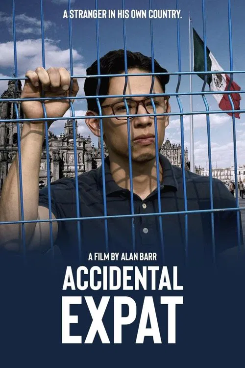 Accidental Expat movie poster