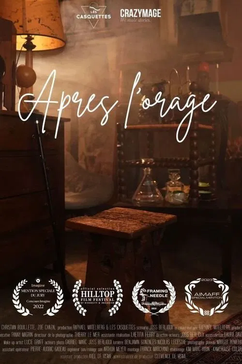 Après l'orage movie poster