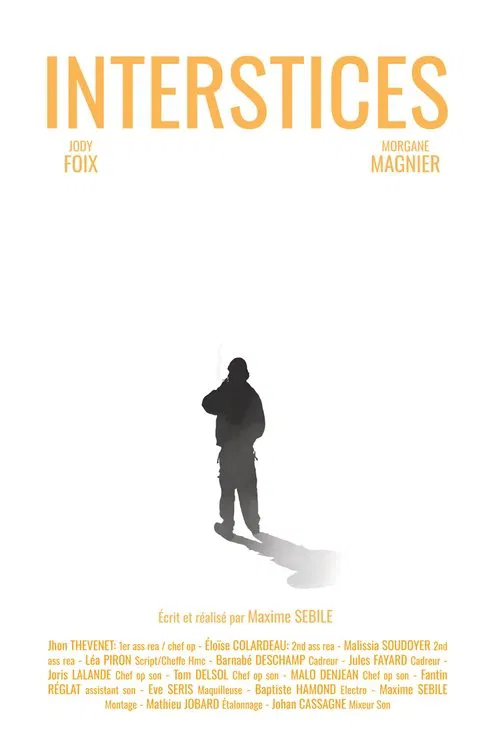 Interstices movie poster