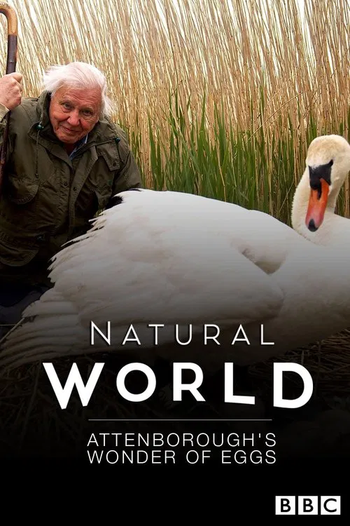 Attenborough's Wonder of Eggs movie poster