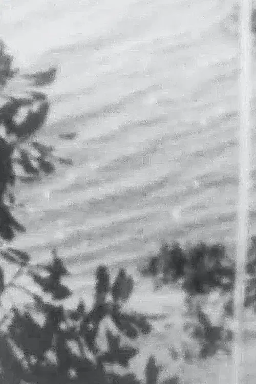 Point Chevalier Beach movie poster