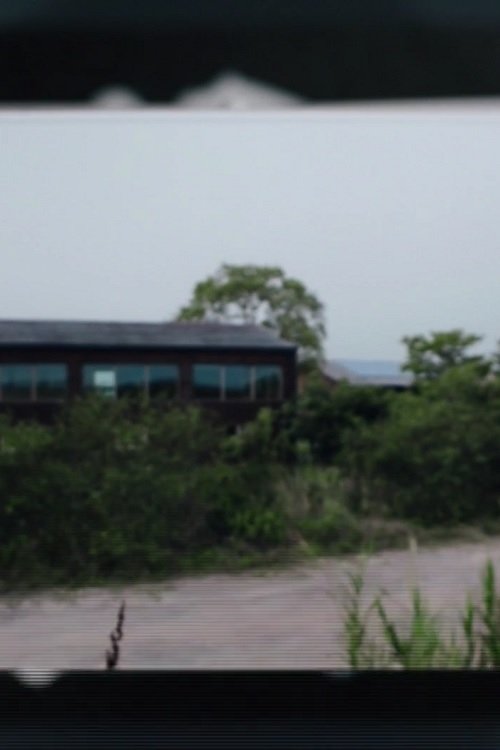 Photographic Survey movie poster