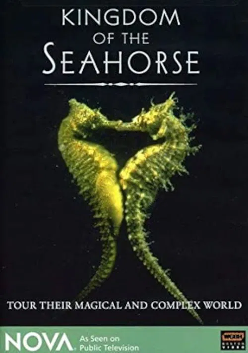 Kingdom of the Seahorse movie poster
