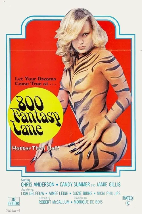 800 Fantasy Lane movie poster