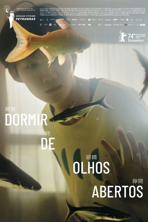 Poster do filme Dormir de olhos abertos