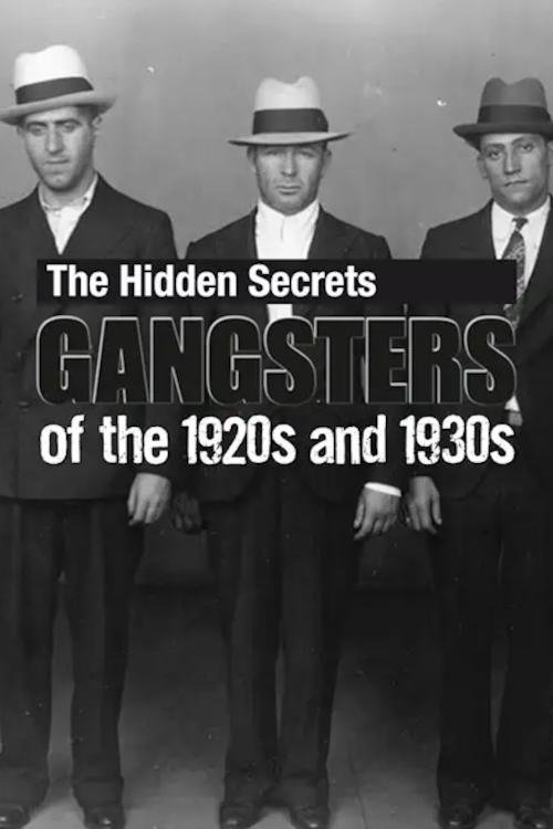 The Hidden Secrets: Gangsters of the 1920s and 1930s movie poster