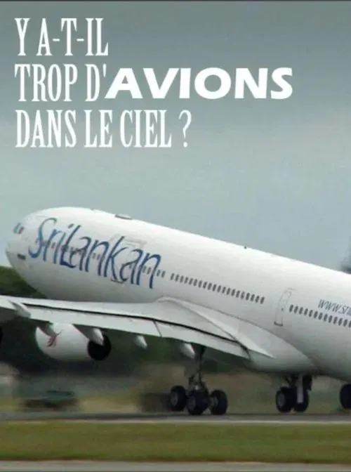 Y a-t-il trop d'avions dans le ciel ? movie poster