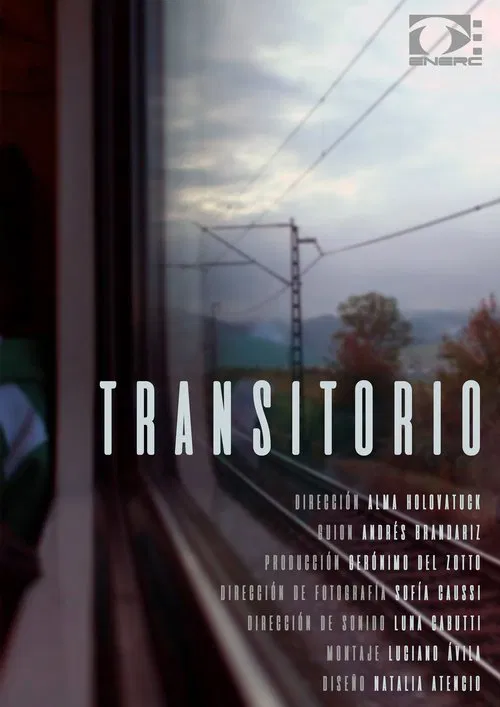 Transitory movie poster