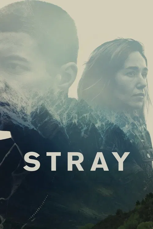 Stray movie poster