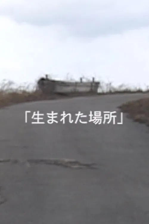 Poster do filme Birthplace